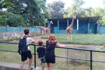 From Colombo :Dehiwala Zoological Gardens & Vihara Mahadevi Park