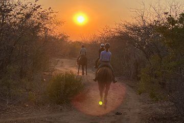 Victoria Falls small-group horseback village experience