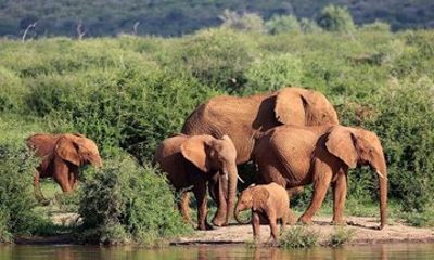 4 Day Small Group Safari Kruger National Park and Panorama Route