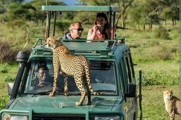 Ultimate Kenya Safari & Culture Tour | Maasai Mara,Beachs & More