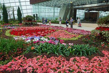 Gardens by the Bay Walking Tour