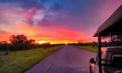 Sunrise Safari Game Drive in Zambezi National Park