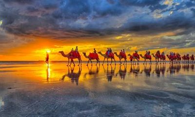 1 Hour Broome Sunset Camel Tour on Cable Beach