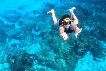 Special Ponta da Piedade with Snorkeling Experience