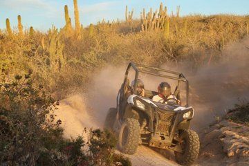 Los Cabos UTV and Horseback Riding Adventure in Desert and Beach