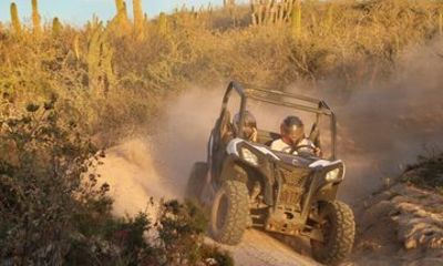 Los Cabos UTV and Horseback Riding Adventure in Desert and Beach