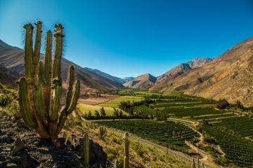 Elqui Valley Tour with Pisco Tasting and Lunch