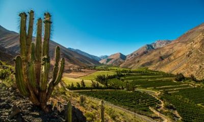 Elqui Valley Tour with Pisco Tasting and Lunch