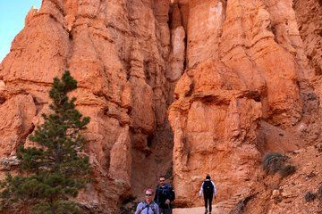 Bryce Banyon Private Hiking Tour from Las Vegas