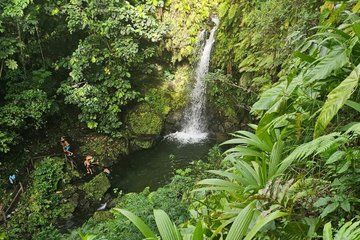 Emerald Pool and Mero Beach Tour
