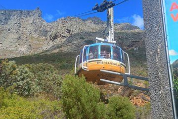 Table Mountain and Cape Town Tour