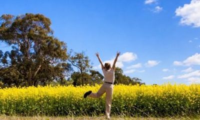 Private wildflower, canola fields & heritage tours from Perth