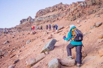 Mount Kenya Day Hike with Lunch