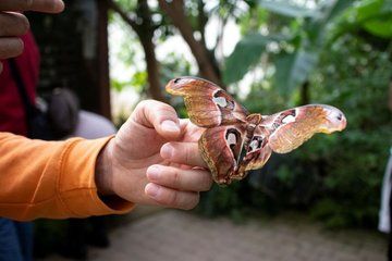 Enjoy nature at Butterfly House in Milano Marittima