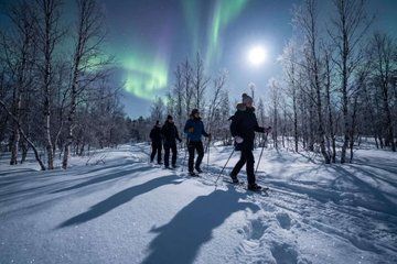 Northern Lights Snowshoe Adventure