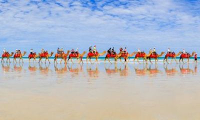 Magical Morning Camel Tour on Cable Beach, Broome