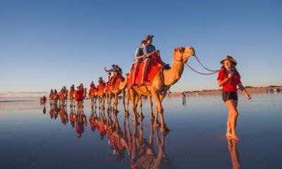 Pre Sunset Sampler Camel Tour on Cable Beach, Broome