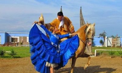 Marinera Show with Peruvian Paso Horses in Trujillo