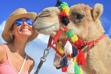 Los Cabos Camel Ride on the Beach with Ocean Views