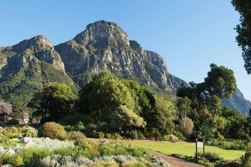 Cape Town City Bowl Highlights and Cultural Experiences Day Tour