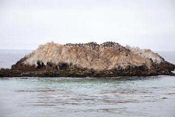 Self Guided Audio Tour Bundle US Pacific Coastline