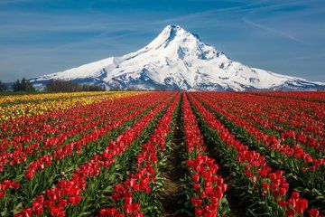 Self Guided Driving Audio Tour Mount Hood Scenic Loop