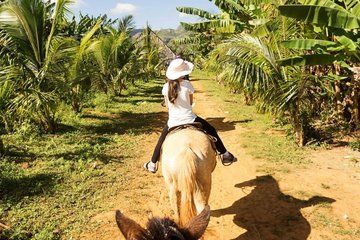 Horseback plus Buggies and Beach Scape in puerto plata