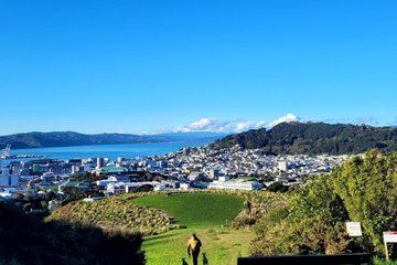 Wellington Scenic Trail Run with Local Guide