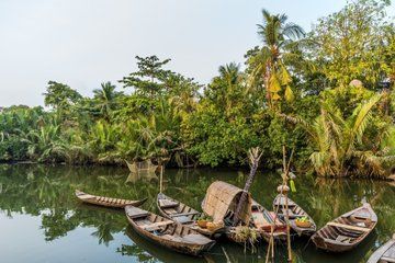 Northern Vietnam in 6 Days Sapa Trek Food Tour and Cooking Class
