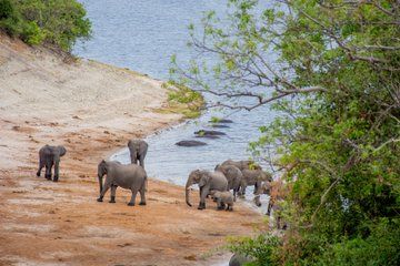 15 Day Victoria Falls, Okavango Delta to Windhoek Adventure