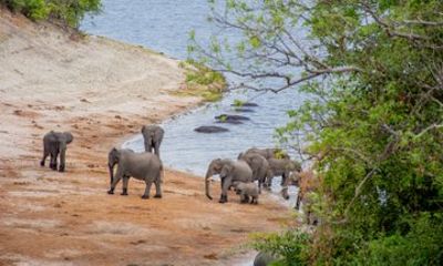 15 Day Victoria Falls, Okavango Delta to Windhoek Adventure