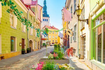 Tallinn Private Shore Tour: Old Town, Kadriorg & Viimsi Museum