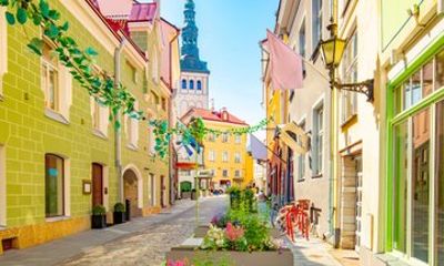 Tallinn Private Shore Tour: Old Town, Kadriorg & Viimsi Museum