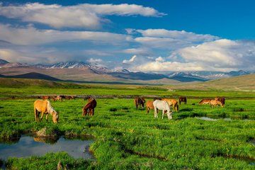 12 Days of Wonders Pakistan Cultural and Northern Wonders Journey