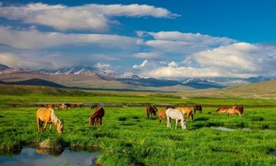 12 Days of Wonders Pakistan Cultural and Northern Wonders Journey