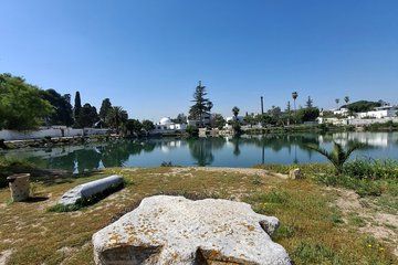 Carthage Bardo Museum UNESCO Tunis and Sidi Bousaid Private Tour