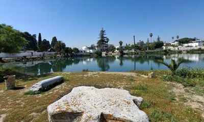 Carthage Bardo Museum UNESCO Tunis and Sidi Bousaid Private Tour