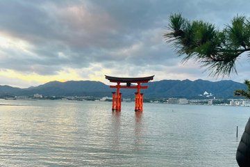 Personalized Hiroshima & Miyajima Tour with Local Guide