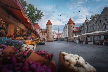 Tallinn Flavours & Sights – Private Shore Tour from Cruise Port
