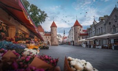 Tallinn Flavours & Sights – Private Shore Tour from Cruise Port