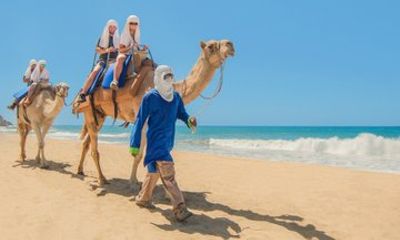 Camel Ride in Cabo San Lucas with Pick up and All Inclusive