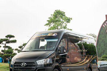 Ninh Binh to Hanoi by VIP Limousine