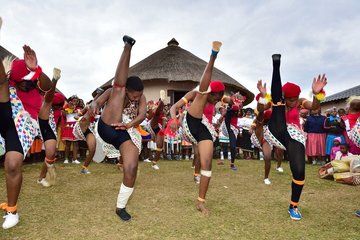 Durban Tala Game Reserve and Phezulu Safari Small Group Safari