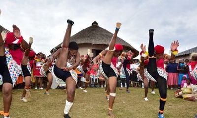Durban Tala Game Reserve and Phezulu Safari Small Group Safari