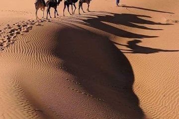Merzouga Desert 2 Days of Dromedary Ouarzazate and Bivouac