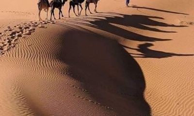 Merzouga Desert 2 Days of Dromedary Ouarzazate and Bivouac