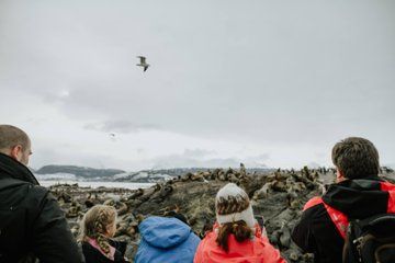 Walk in Penguinera WINTER