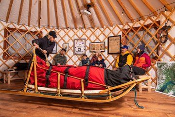 Iditarod Sled Dog Kennel Tour Meet Champion Dogs in Alaska