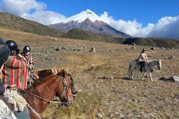Private Cotopaxi Horseback Riding & Inca Trail Footsteps