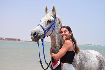 Hurghada Beach and Desert Horse Riding